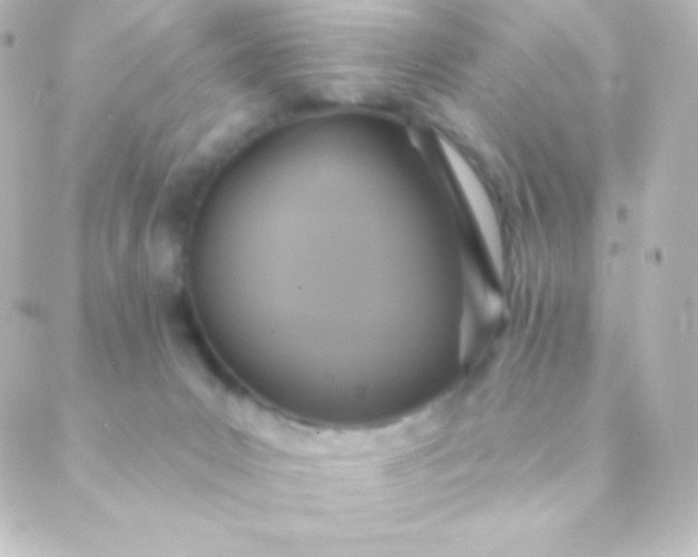 X0000088850031200706221711