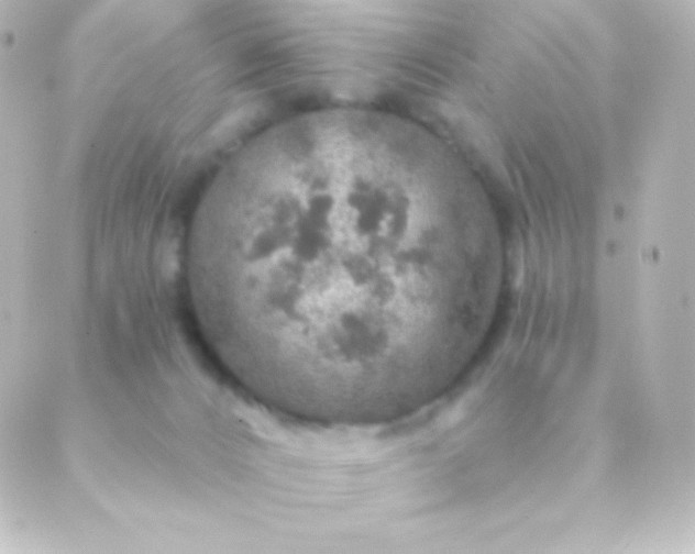 X0000088850032200706221711