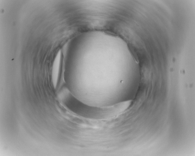 X0000088850033200706221711