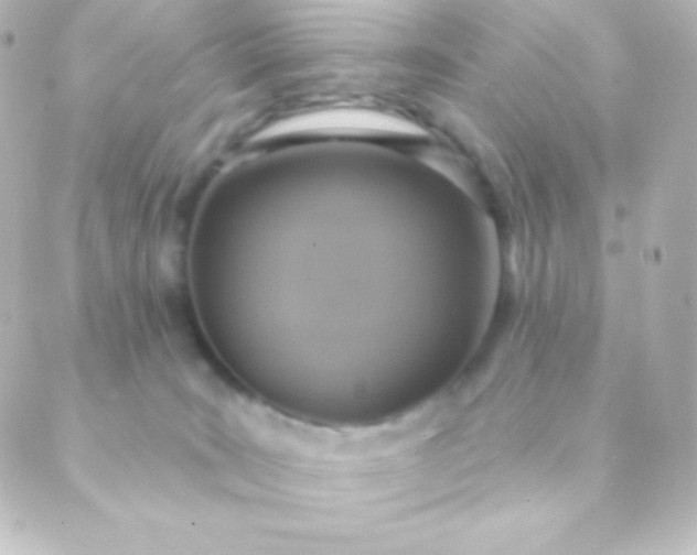 X0000088850035200706221711