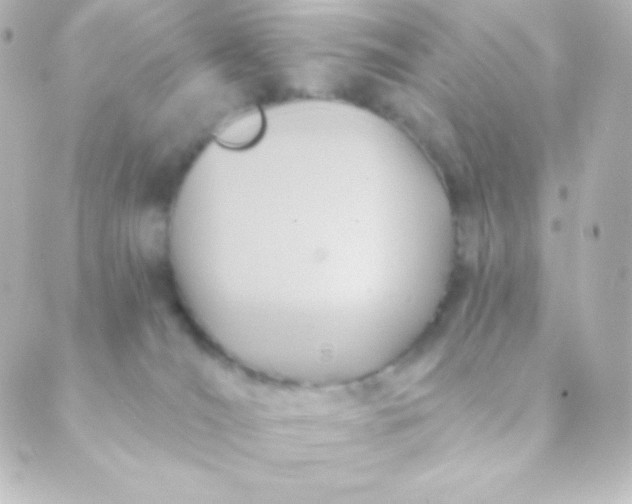 X0000088850036200706221711