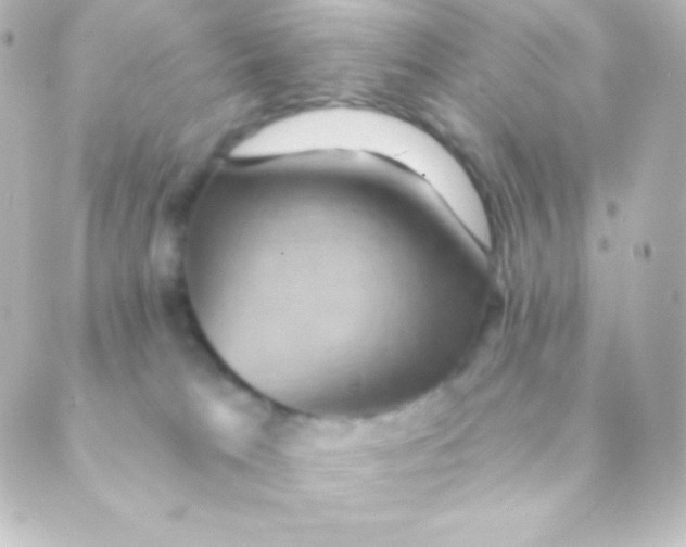 X0000088850037200706221711