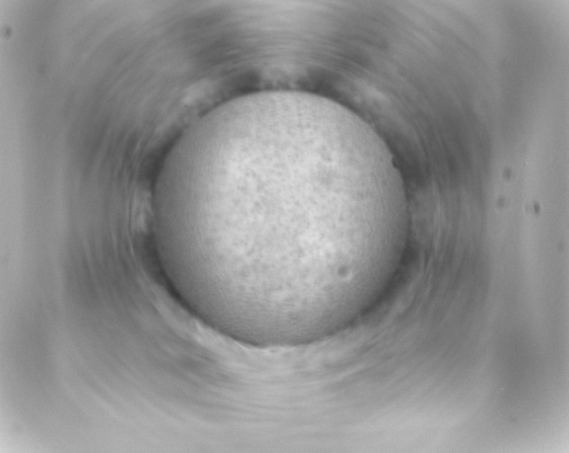 X0000088850038200706221711