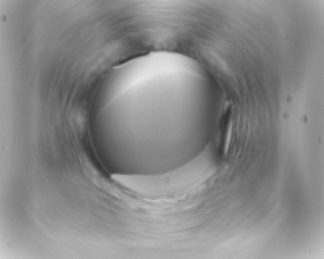 X0000088850039200706221711