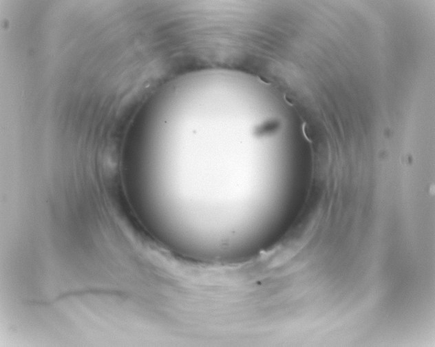 X0000088850040200706221711