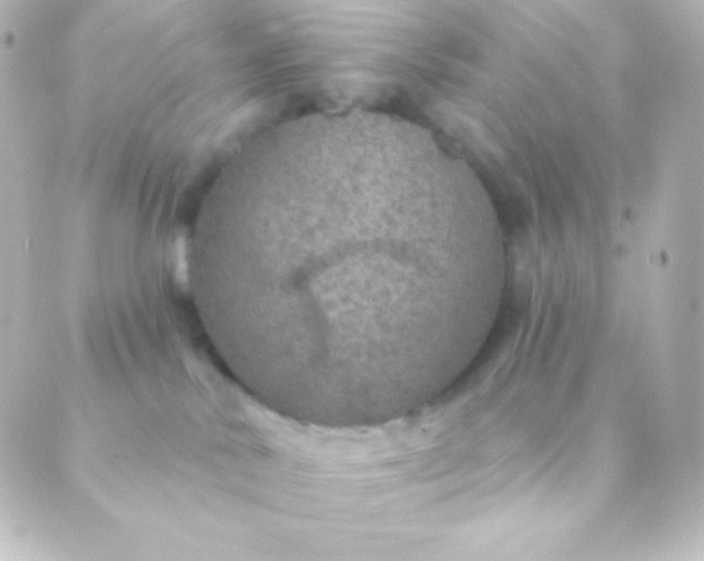 X0000088850042200706221711