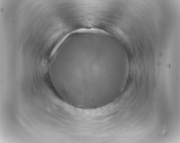 X0000088850043200706221711