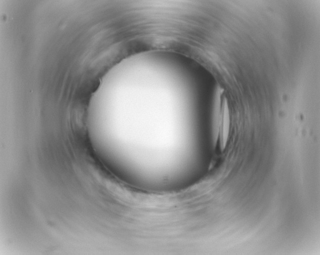 X0000088850044200706221711