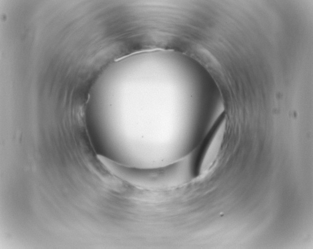 X0000088850045200706221711