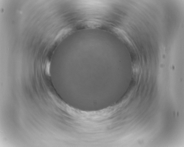 X0000088850046200706221711