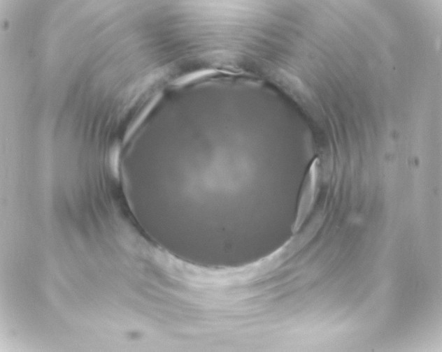 X0000088850047200706221711