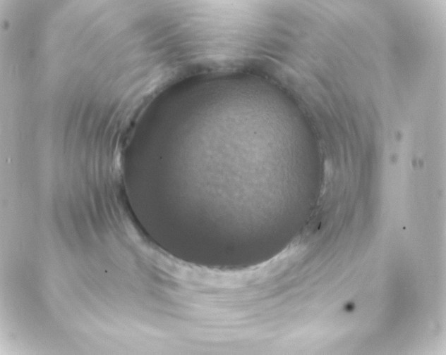 X0000088850048200706221711