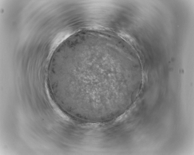 X0000088850049200706221710