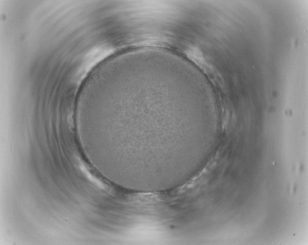 X0000088850050200706221710