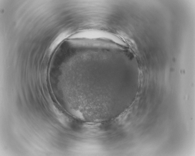 X0000088850051200706221710