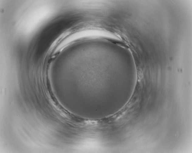 X0000088850052200706221710