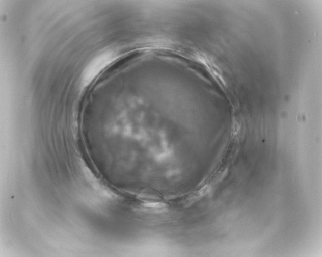 X0000088850053200706221710