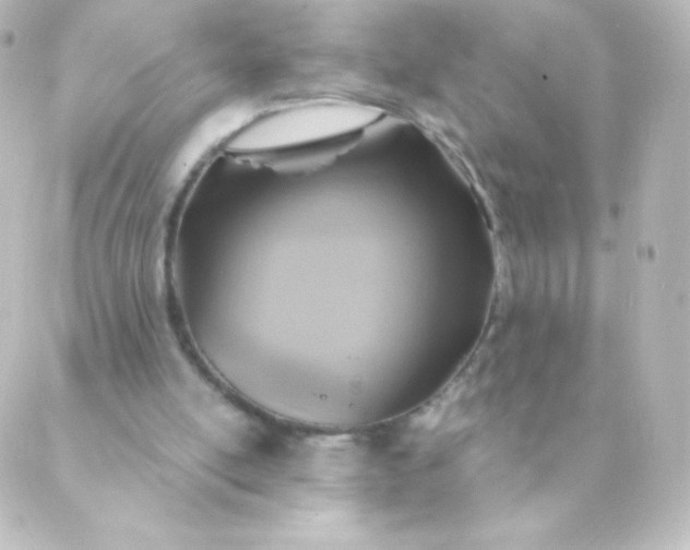 X0000088850054200706221710