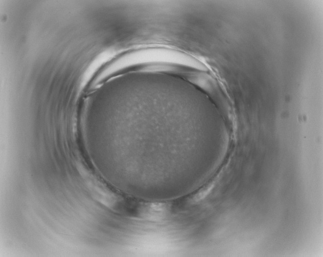 X0000088850056200706221710