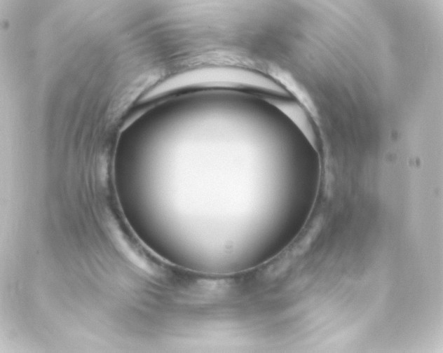 X0000088850057200706221710