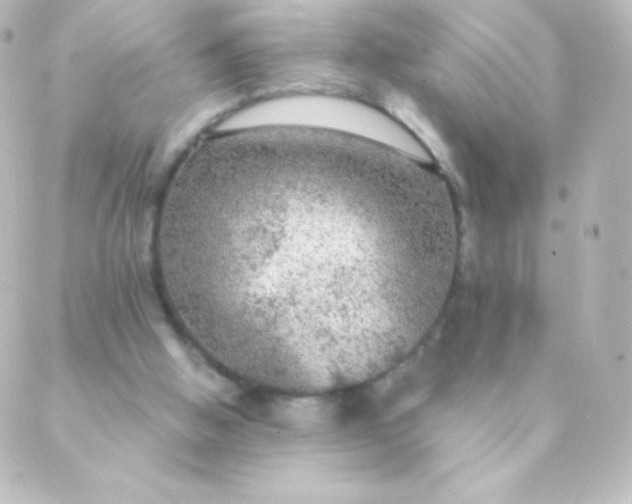 X0000088850058200706221710