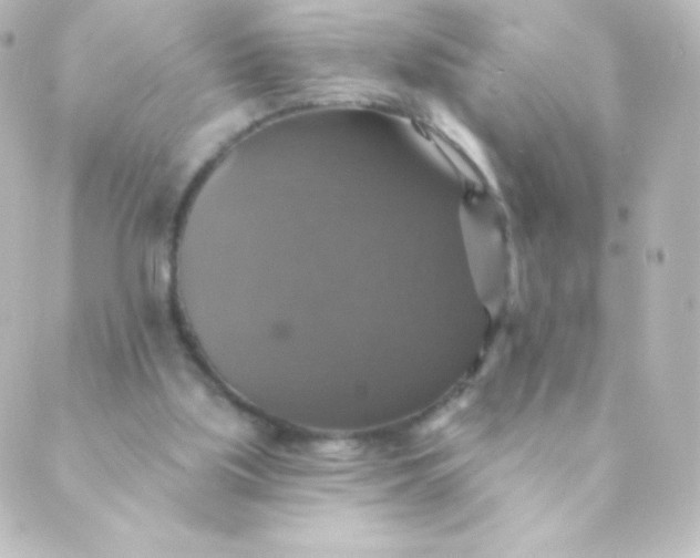 X0000088850059200706221710