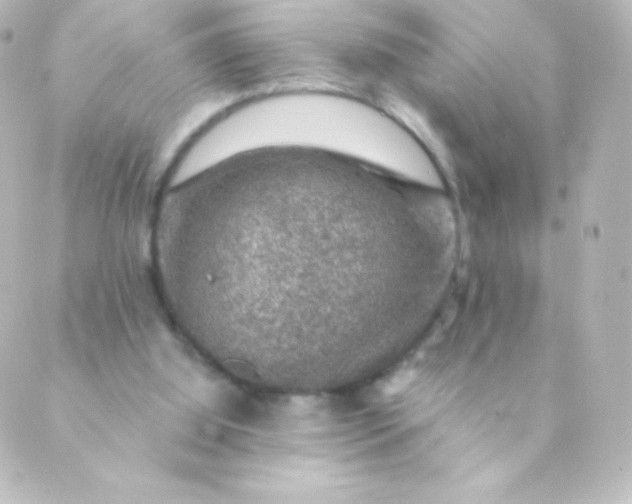 X0000088850060200706221710