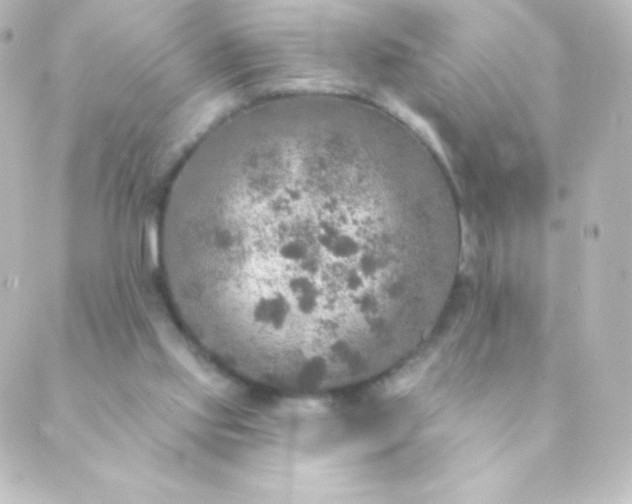 X0000088850061200706221710