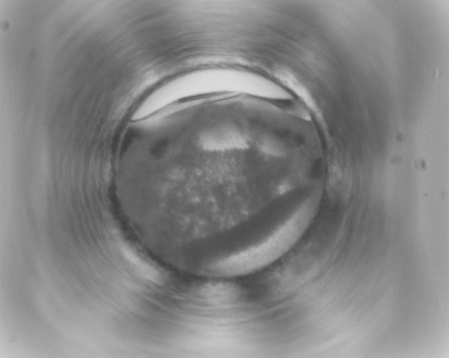 X0000088850063200706221710