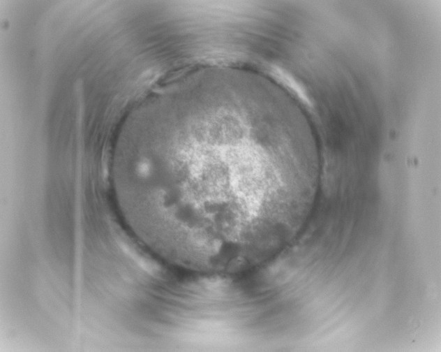 X0000088850065200706221710