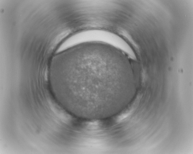 X0000088850068200706221710