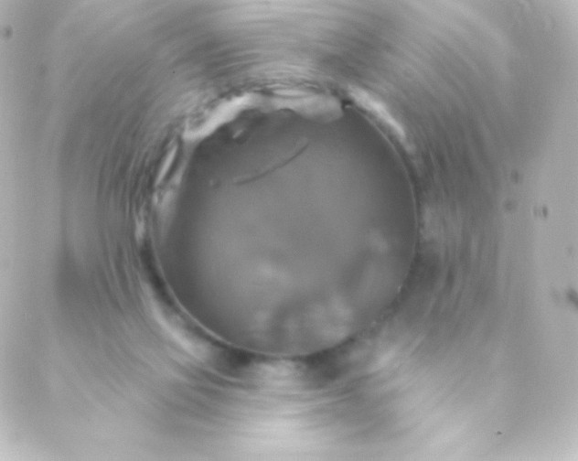 X0000088850069200706221710