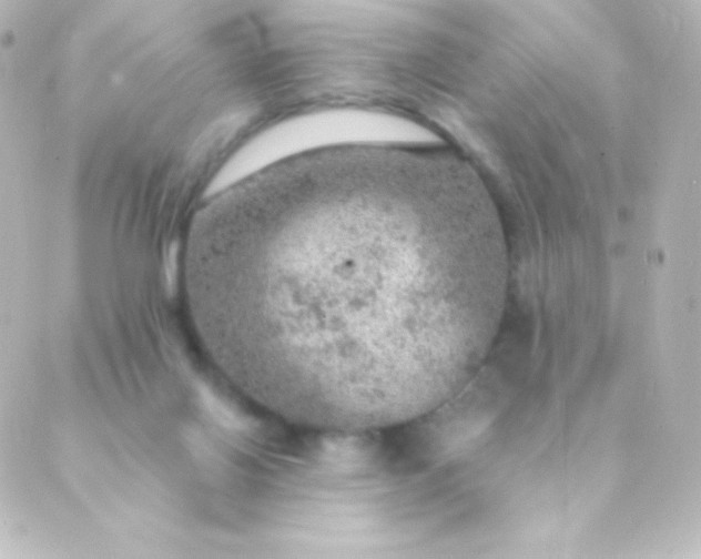 X0000088850070200706221710