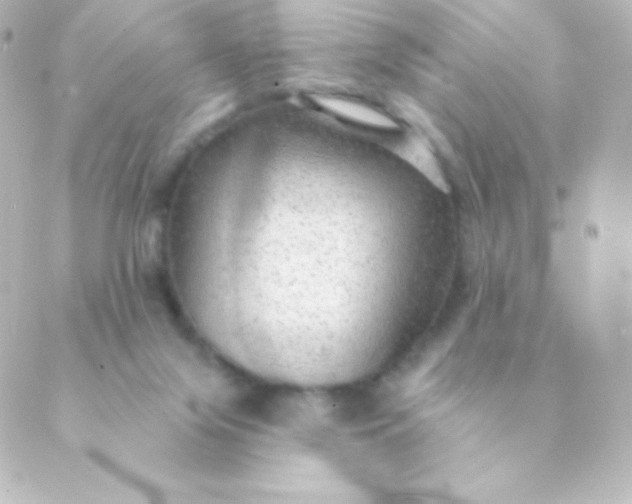 X0000088850071200706221710