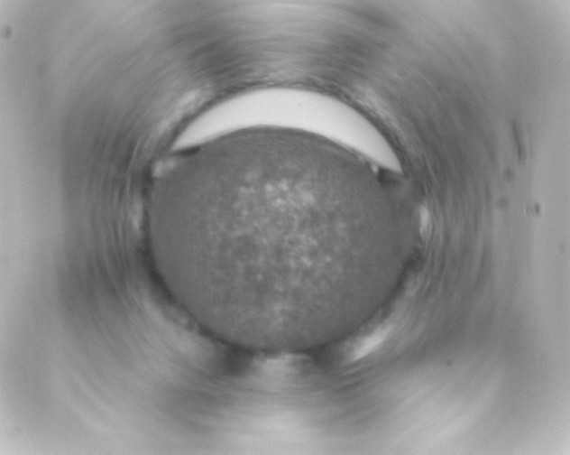 X0000088850072200706221710