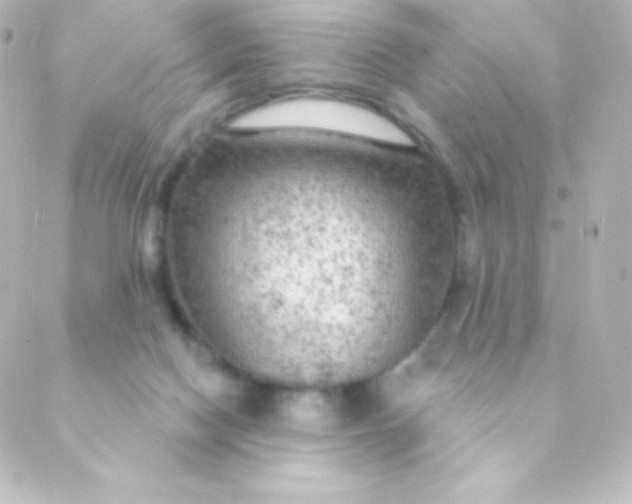 X0000088850074200706221710