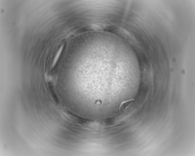 X0000088850075200706221710