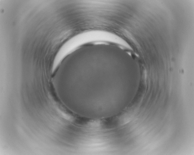 X0000088850076200706221710