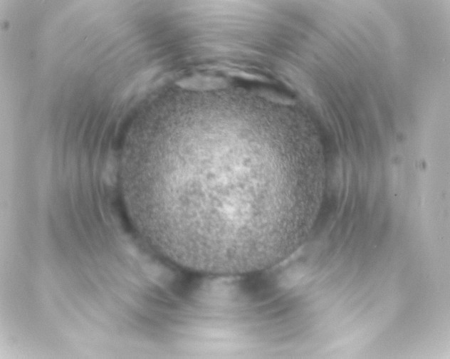 X0000088850078200706221711