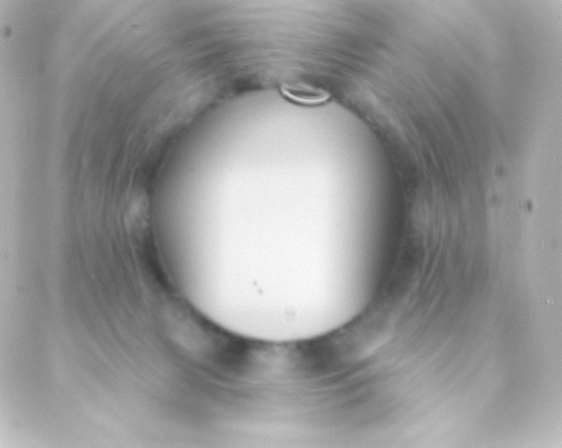 X0000088850079200706221711