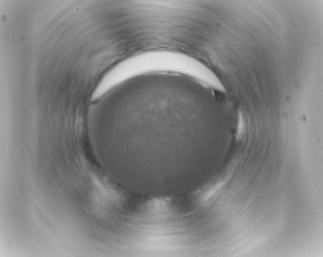 X0000088850080200706221711