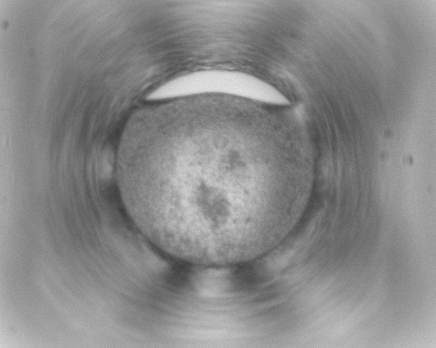 X0000088850081200706221711