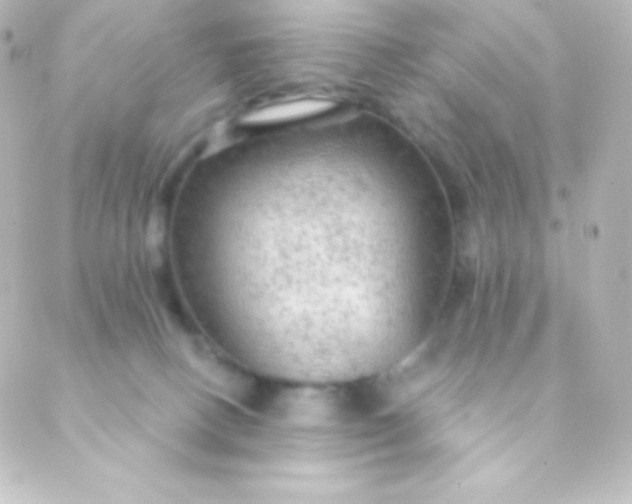 X0000088850082200706221711