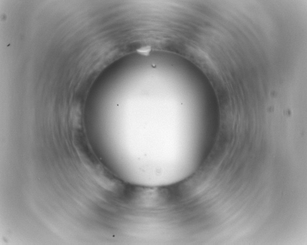 X0000088850083200706221711