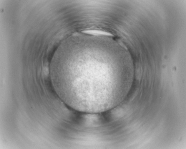 X0000088850085200706221711