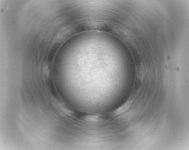 X0000088850086200706221711