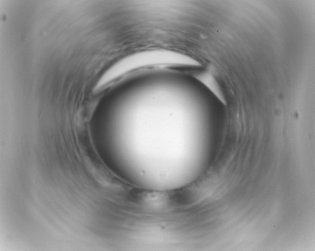 X0000088850088200706221711