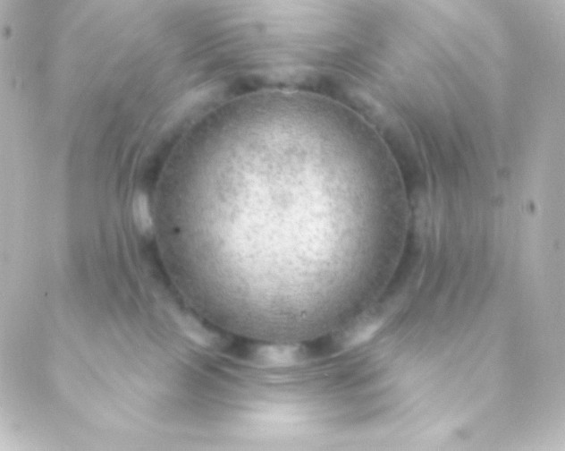 X0000088850089200706221711