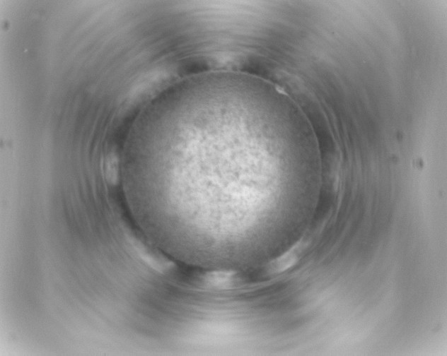 X0000088850090200706221711