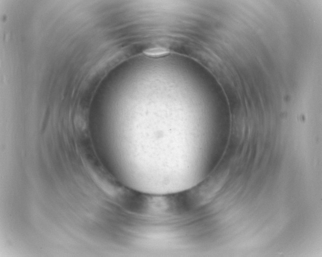 X0000088850091200706221711